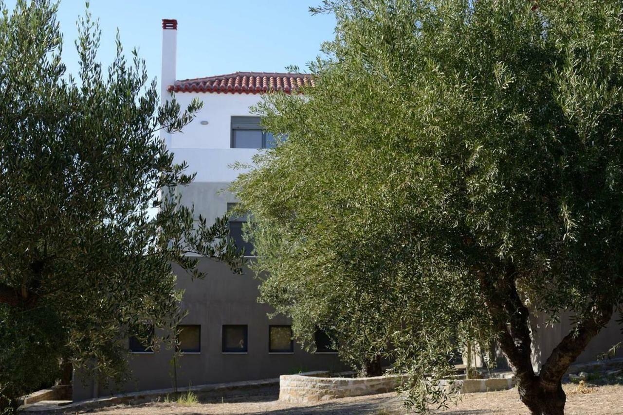 Liofyto - Stylish Villa With Views To Foinikounda Bay Kamária Buitenkant foto